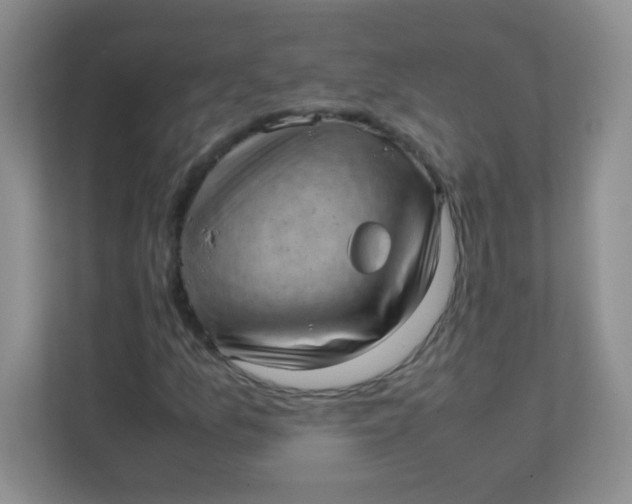 X0000111391157200907311108