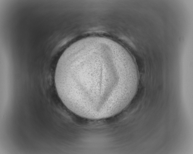 X0000111391159200907311108