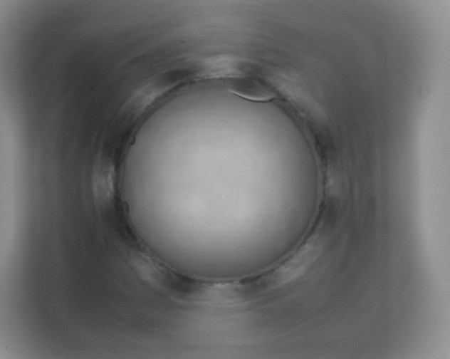 X0000111391161200907311108