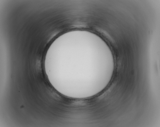 X0000111391162200907311108