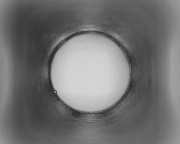 X0000111391167200907311108