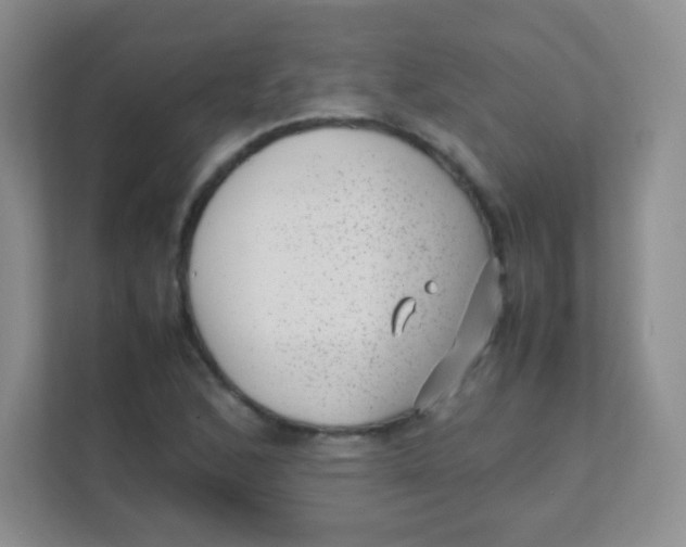 X0000111391168200907311108