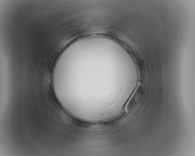 X0000111391169200907311108