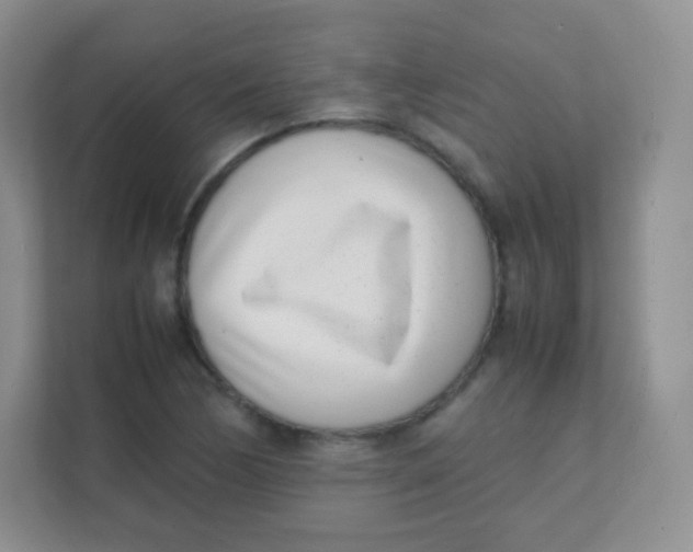 X0000111391170200907311108