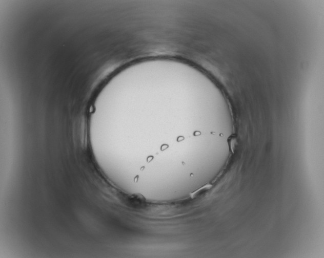 X0000111391171200907311108