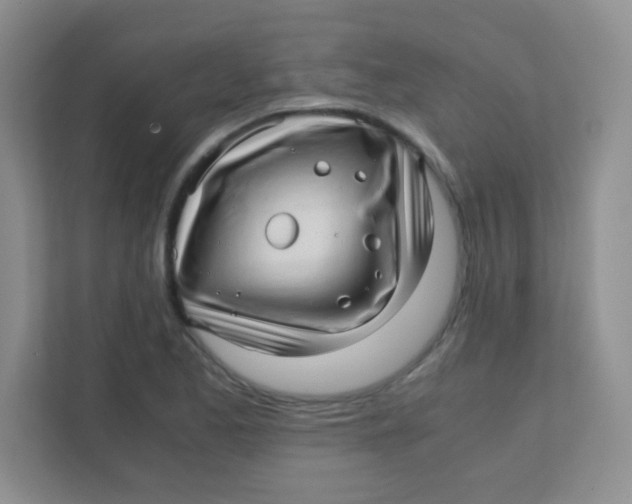 X0000111391173200907311108