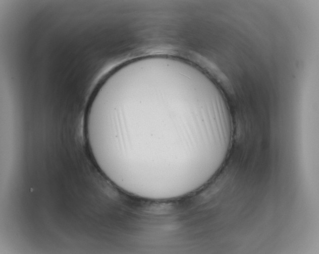 X0000111391174200907311108