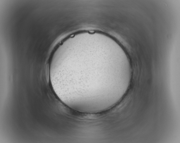 X0000111391175200907311107