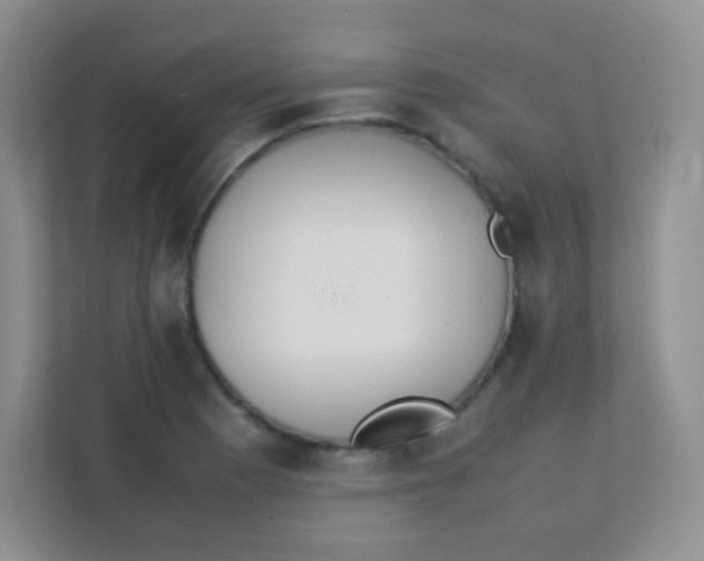 X0000111391177200907311107