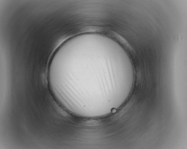 X0000111391178200907311107