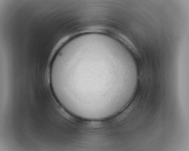 X0000111391180200907311107