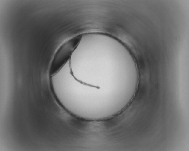 X0000111391181200907311107