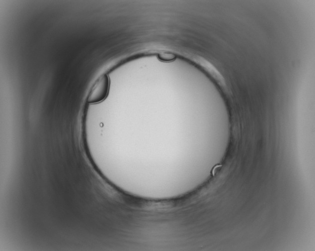 X0000111391183200907311107