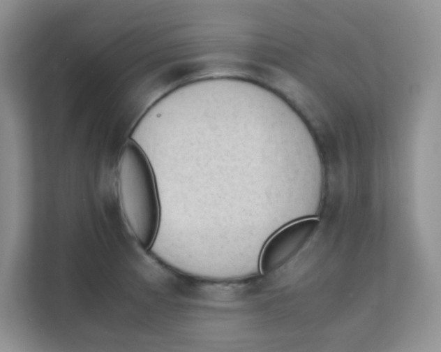 X0000111391185200907311107