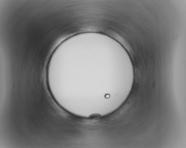 X0000111391187200907311107