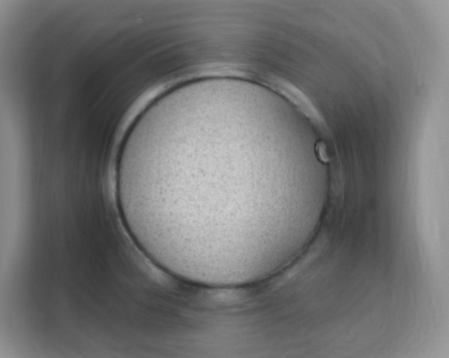 X0000111391188200907311107