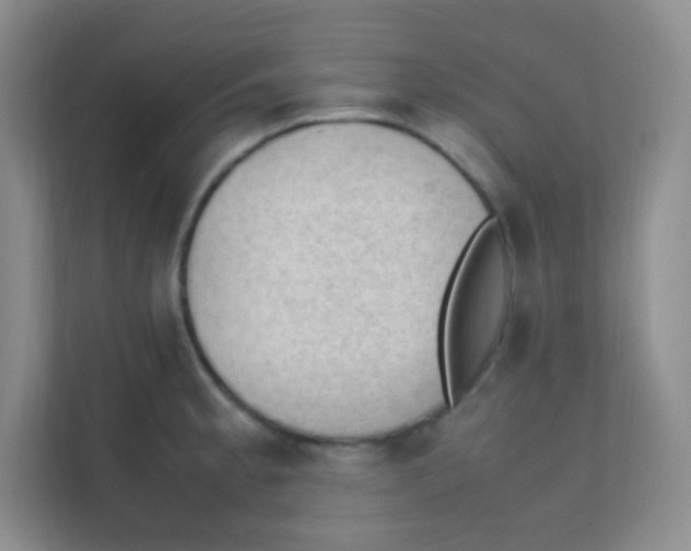 X0000111391189200907311107