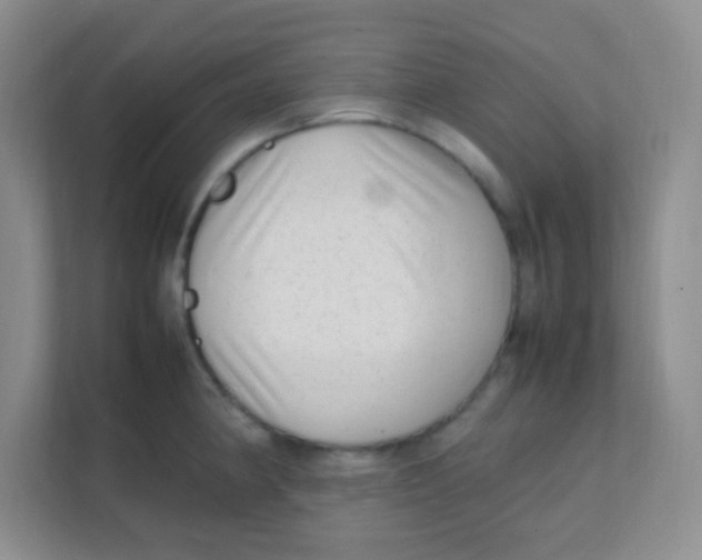 X0000111391190200907311107