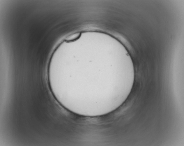 X0000111391191200907311107