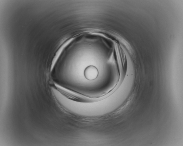 X0000111391193200907311107