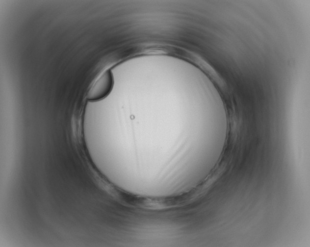 X0000111391194200907311107