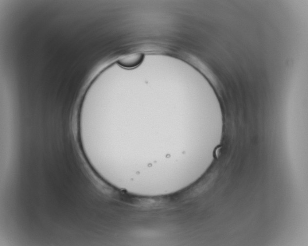 X0000111391195200907311107