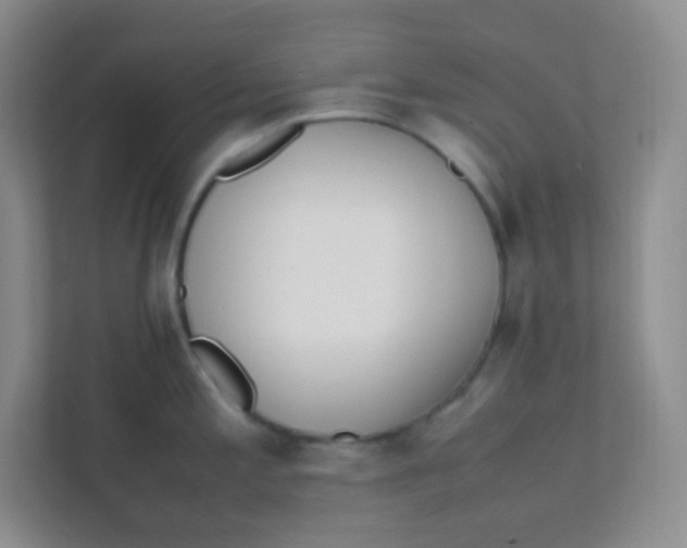 X0000111391197200907311107