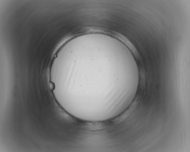 X0000111391198200907311107