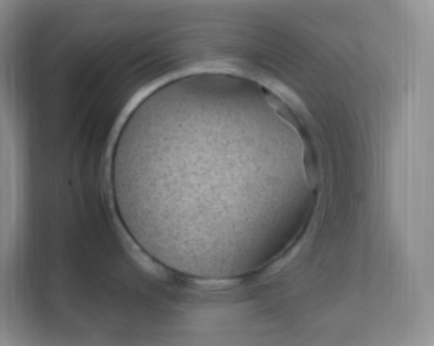 X0000111391200200907311107