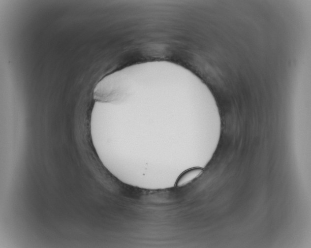 X0000111391201200907311107