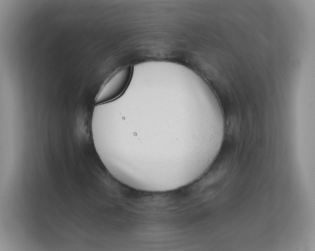 X0000111391202200907311107