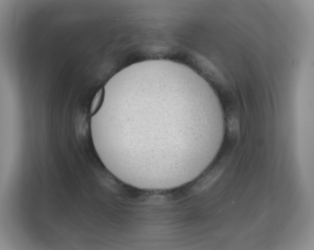 X0000111391204200907311107