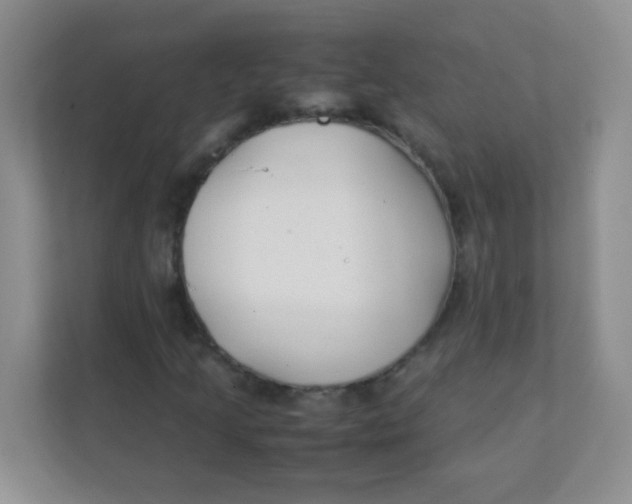 X0000111391205200907311107