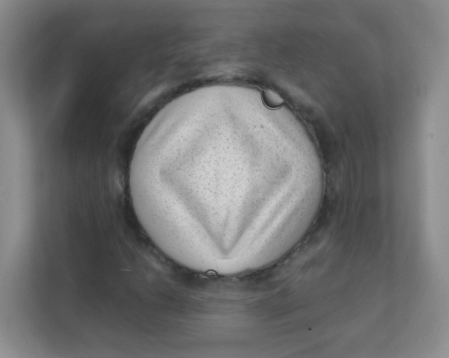 X0000111391206200907311107