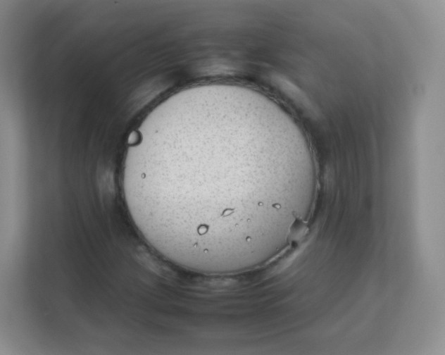 X0000111391209200907311107