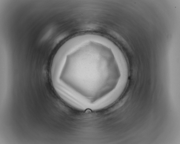 X0000111391210200907311107