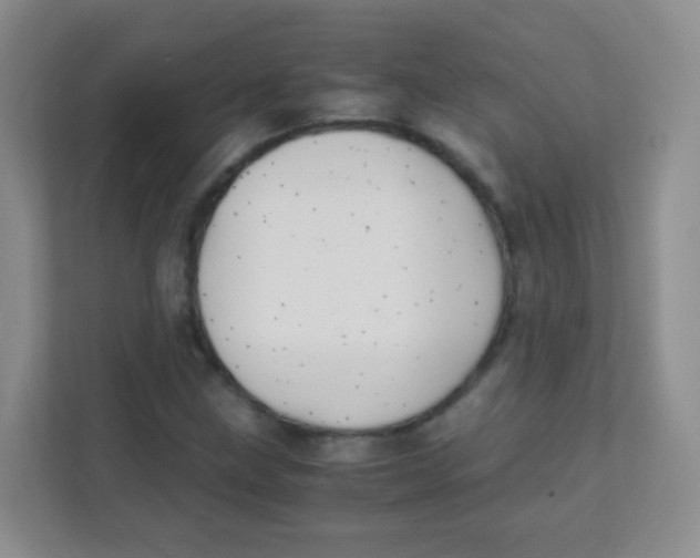 X0000111391211200907311107