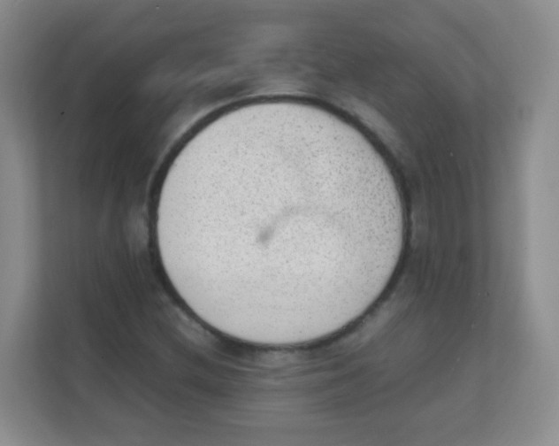 X0000111391212200907311107