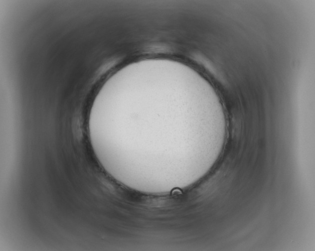 X0000111391213200907311107