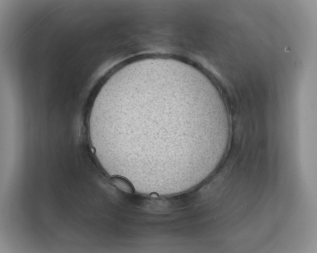 X0000111391215200907311107