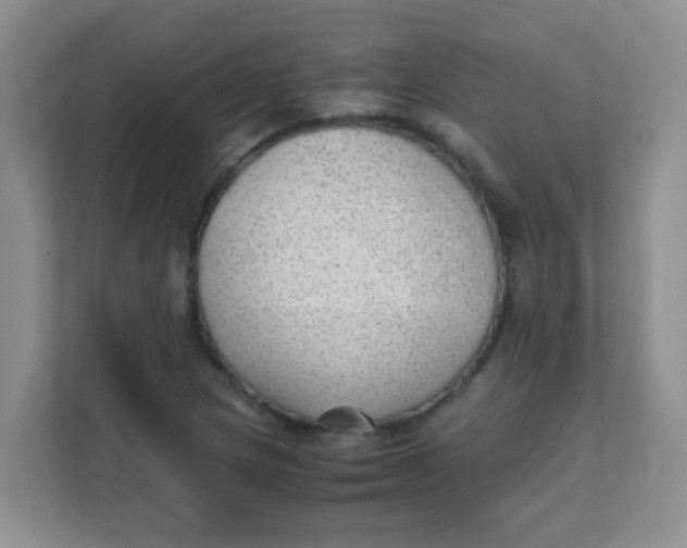 X0000111391217200907311107