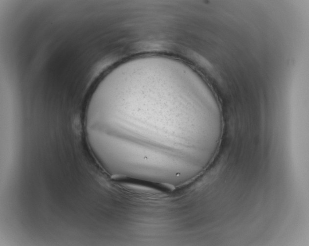 X0000111391218200907311107