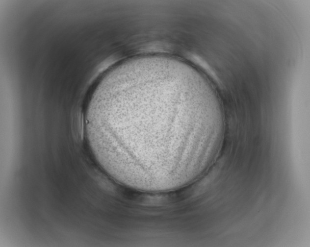 X0000111391219200907311107