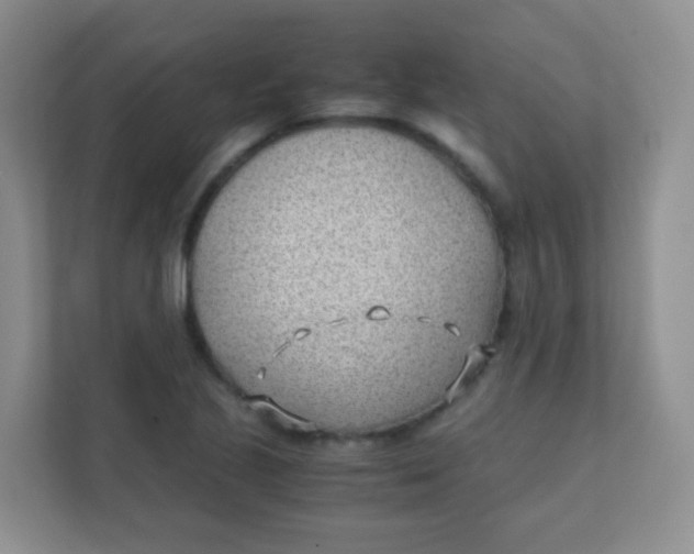 X0000111391221200907311107