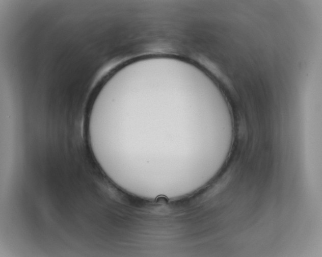 X0000111391222200907311107