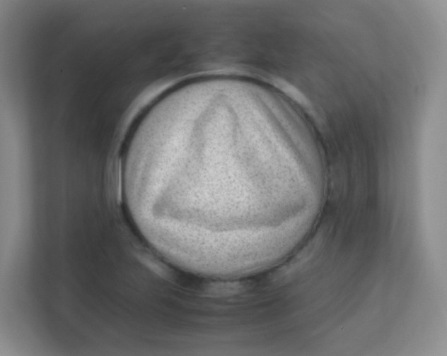 X0000111391223200907311107