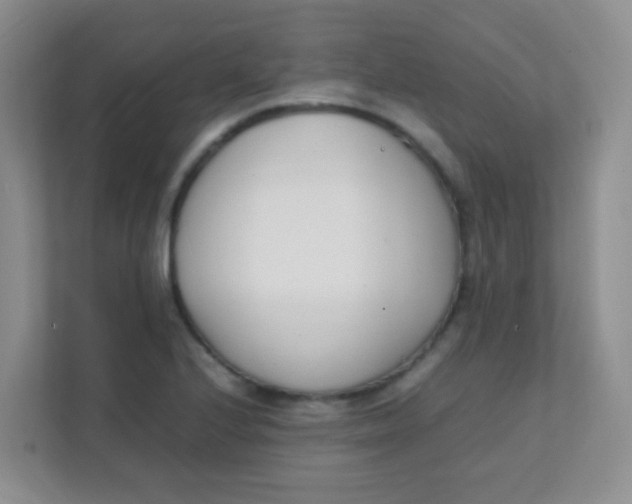 X0000111391224200907311107