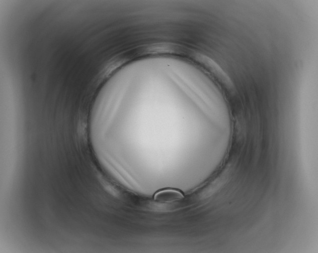 X0000111391225200907311107