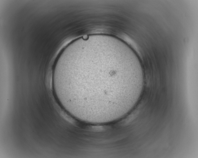 X0000111391227200907311107