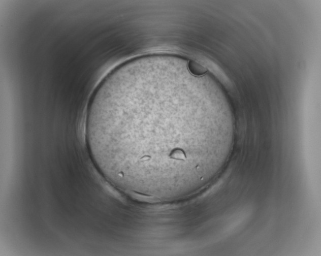 X0000111391228200907311107